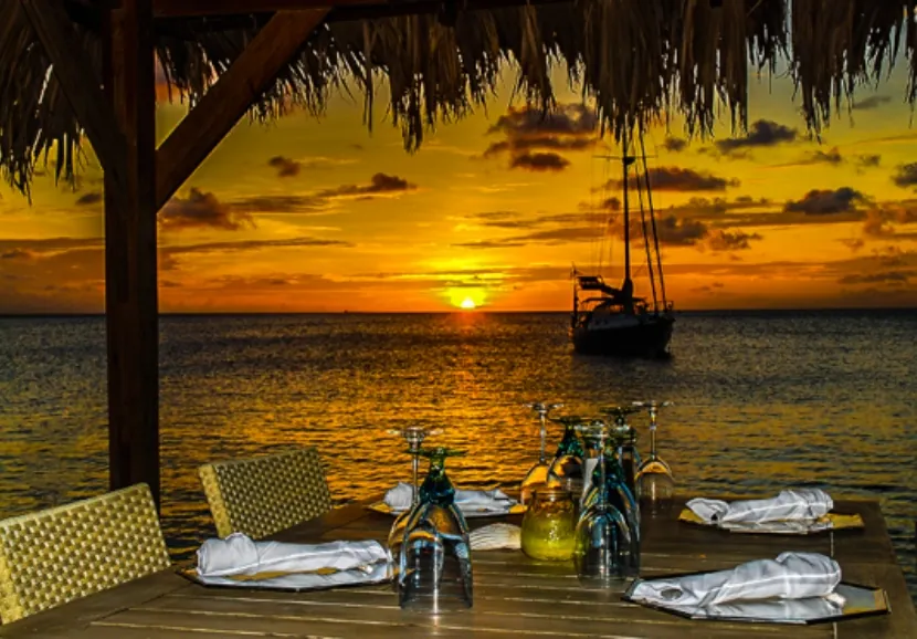 A Feast for the Senses