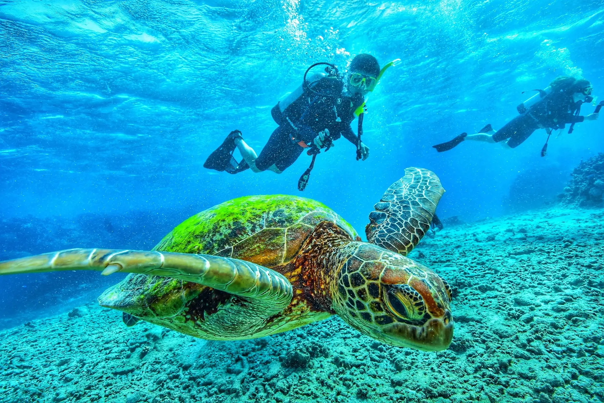 Xprodiver Kralendijk Bonaire